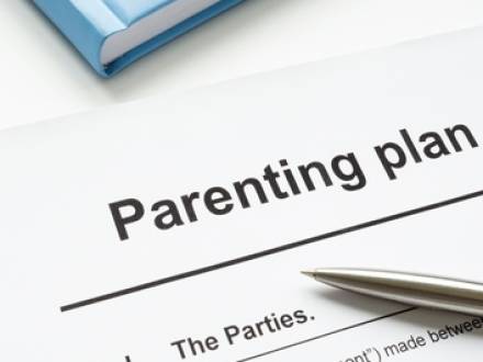 Kane County, IL family lawyer